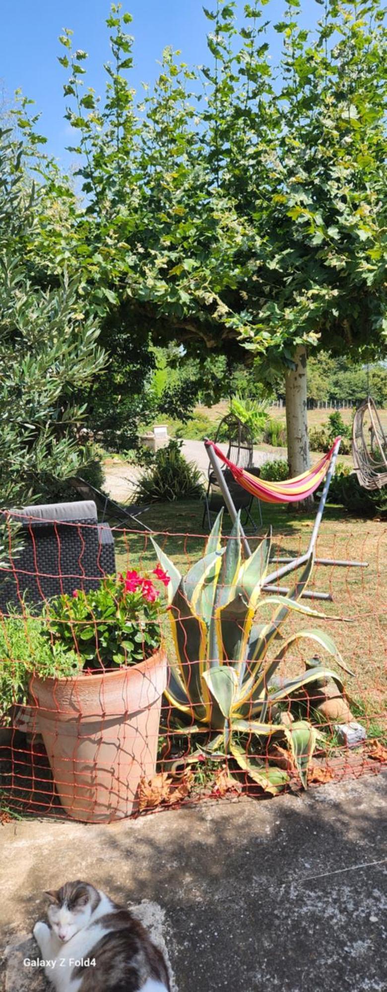 فيلا Les Figuets Chateauneuf-de-Galaure المظهر الخارجي الصورة